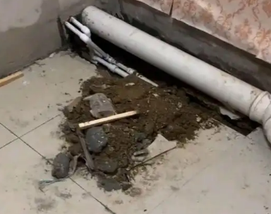 肇东卫生间漏水检测哪家好
