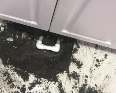 肇东查漏水哪家好