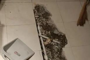 肇东卫生间漏水检测电话
